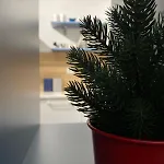 Apartment Blue